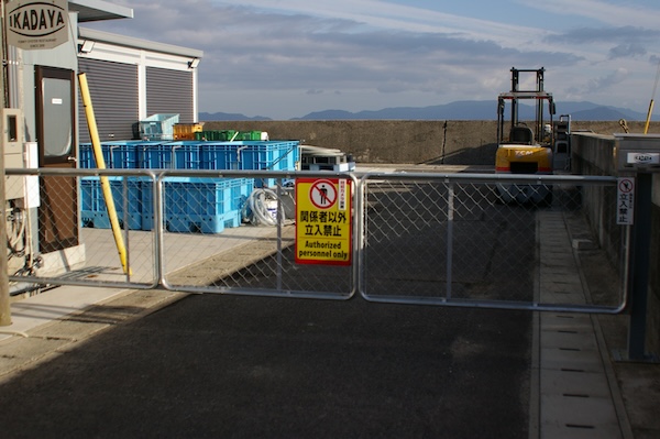 房前の鼻手前のフェンス