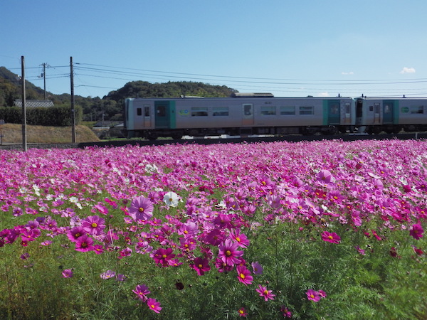徳島行き普通列車