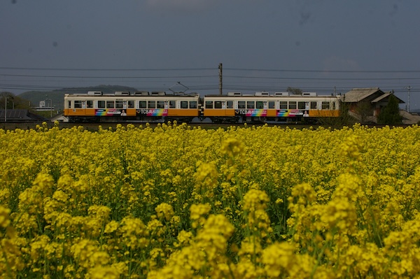 少し寄って電車撮影