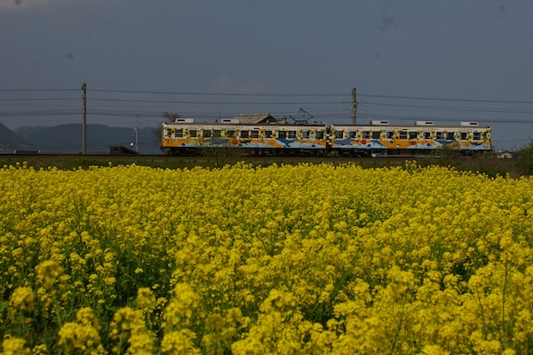 琴電琴平行き1200形