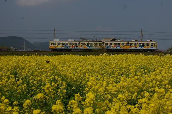 琴電琴平行き1200形（2）
