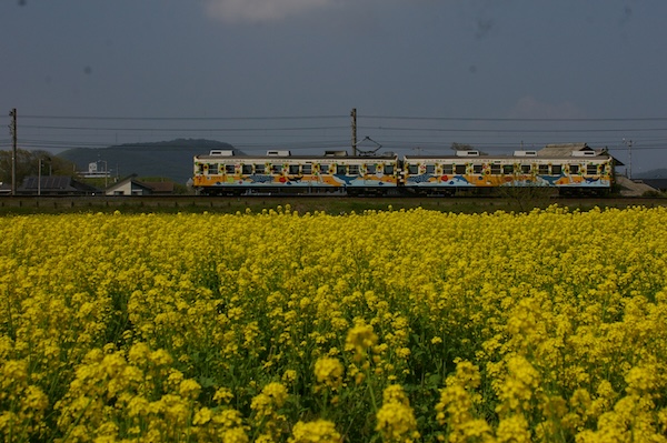 琴電琴平行き1200形（3）