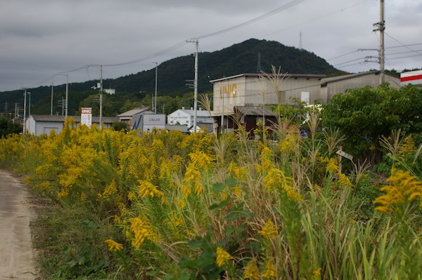 高松方面を見る（2）