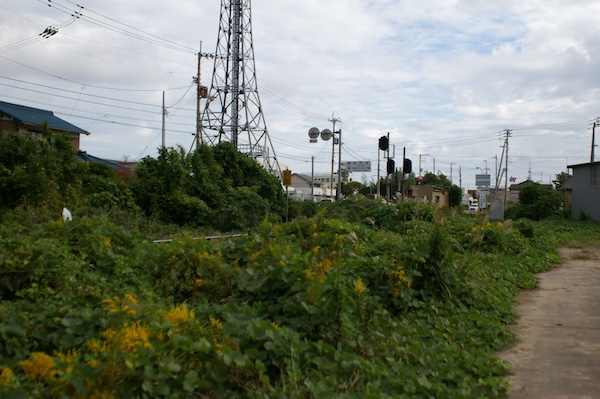 徳島方面を見る