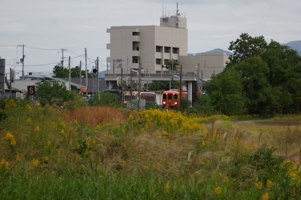 見え始めたアンパンマン列車