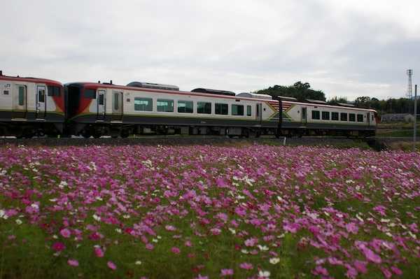 高松行き特急列車
