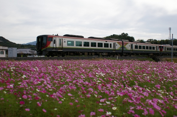 高松行き特急列車（2）