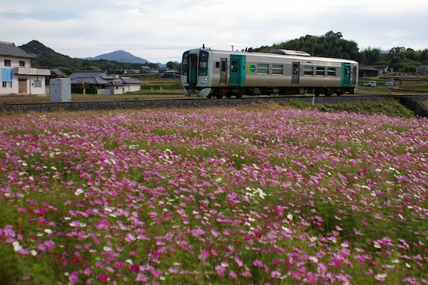 三本松行き普通列車