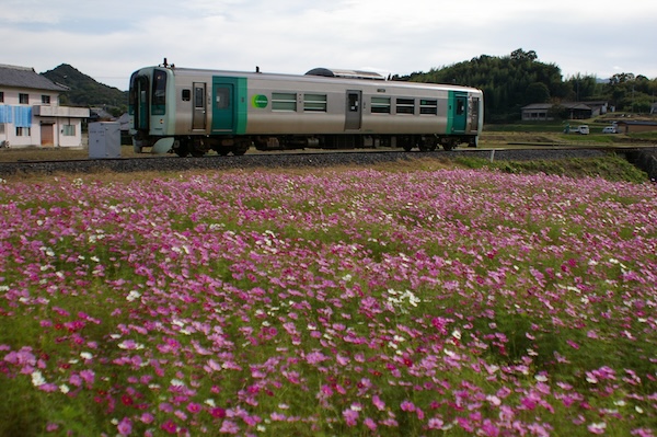三本松行き普通列車（2）
