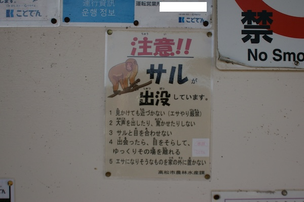 サル出没注意