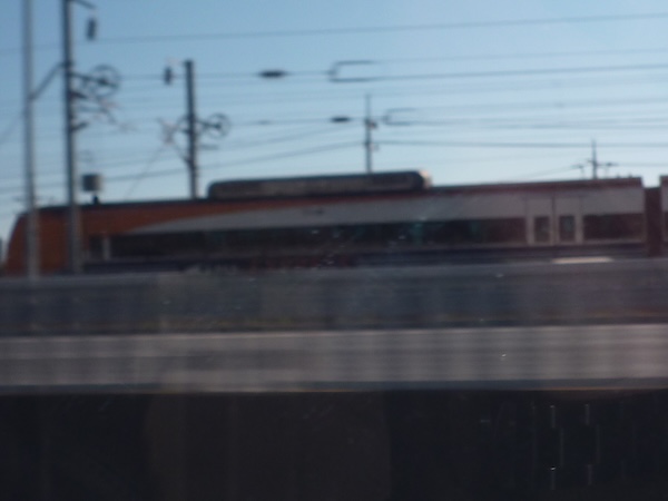 ピント合わず（2）