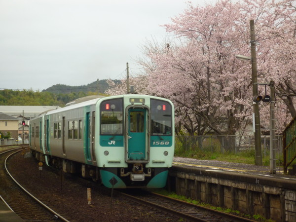 2番線を出ていく列車と桜