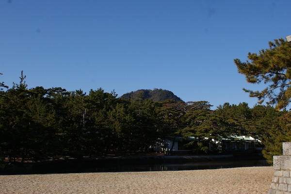 松の向こうに山