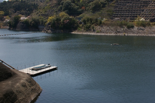 ダム湖の水面