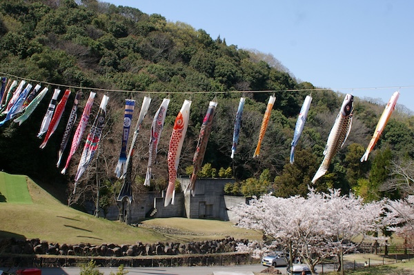 鯉のぼりの画像（2）