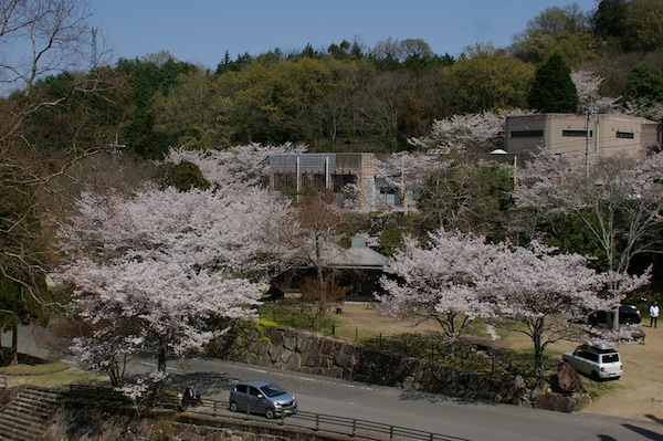 橋西側からの眺め