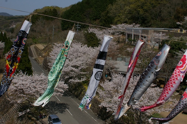 橋の上から