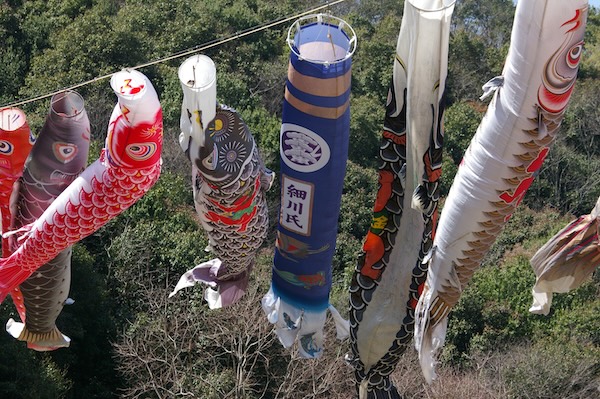 吹き流しに「細川氏」