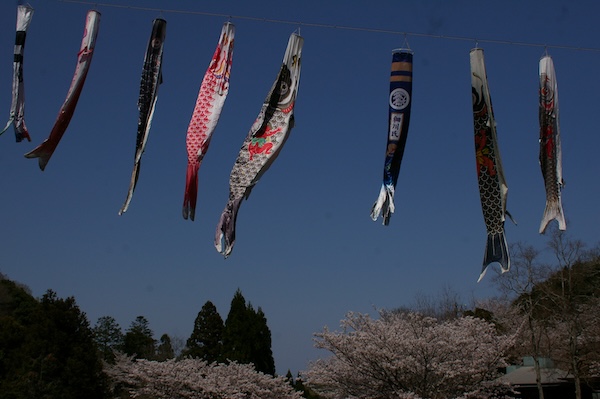 青空と鯉のぼり
