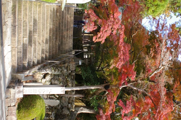 石段下から見上げつつ