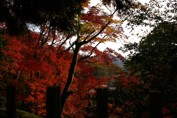 山門付近・東側