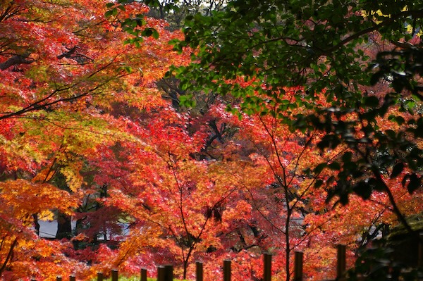 下り通路の中程から（2）