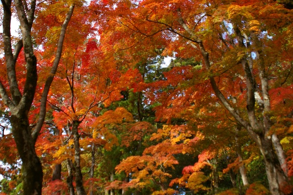 下り通路の下より・西方向