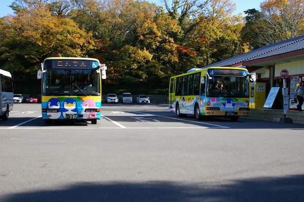 見納め近づく2台が揃う