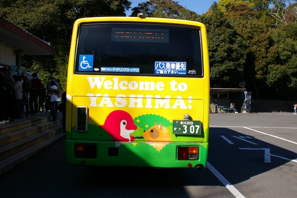 ことのちゃんとたぬきさん