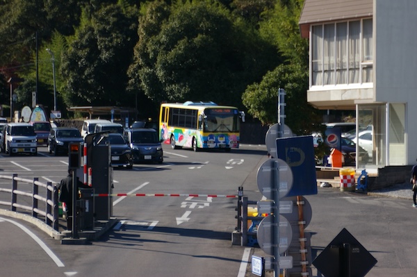 遊歩道からバスを見る