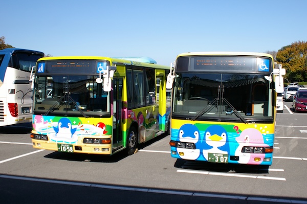 南向きの新旧YASHIMA号（3）