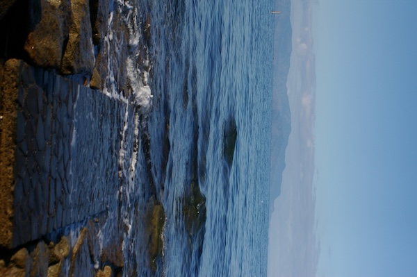 縦構図の海まで続く道（5）