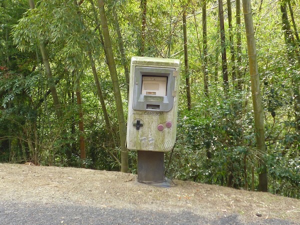 道路反対側から